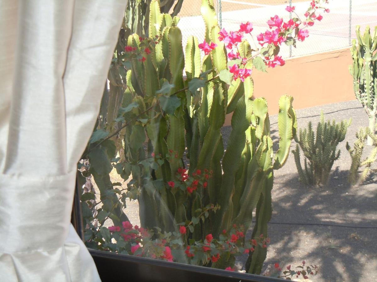 Family Apartment 1 Bedroom With Pool View - Oasis Duna Resort Corralejo Exterior photo